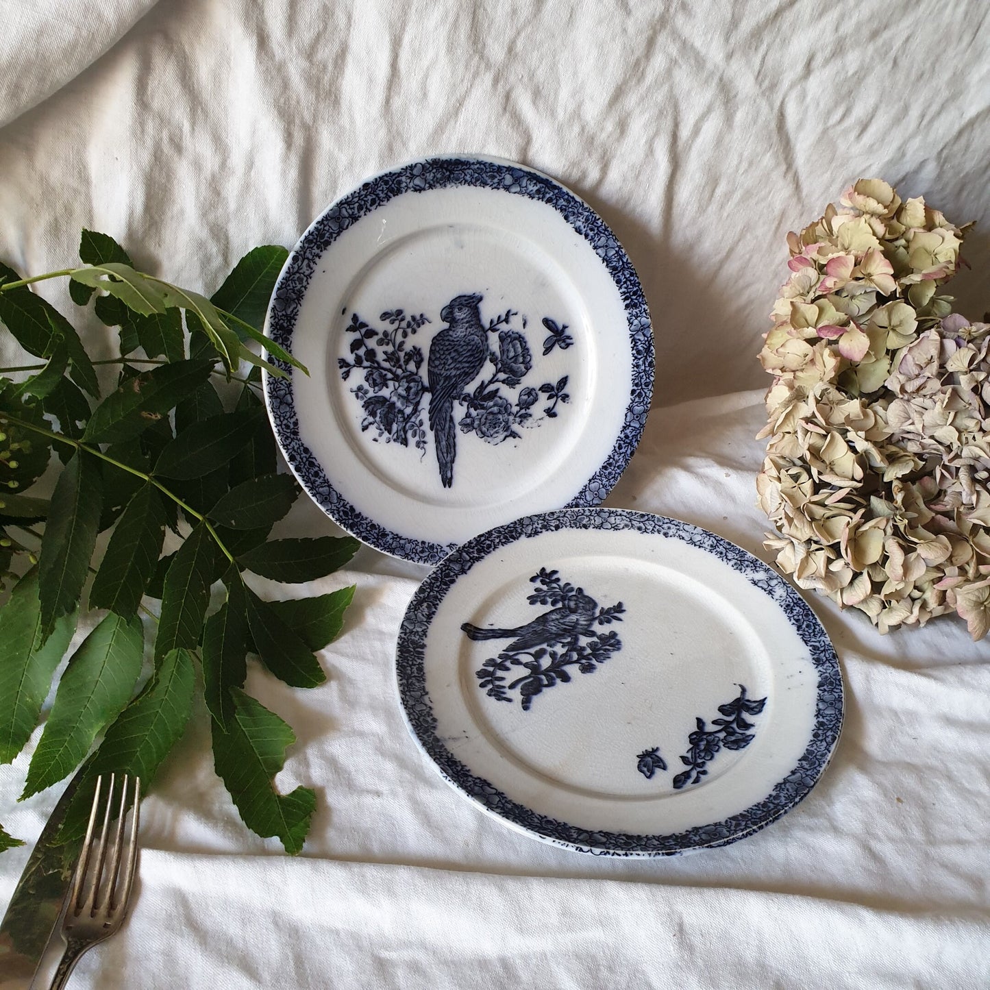 PAIR French antique ornithology plates, parrot birds in navy blue flow transferware c1880-1890 Aesthetic Movement, Pexonne Floride