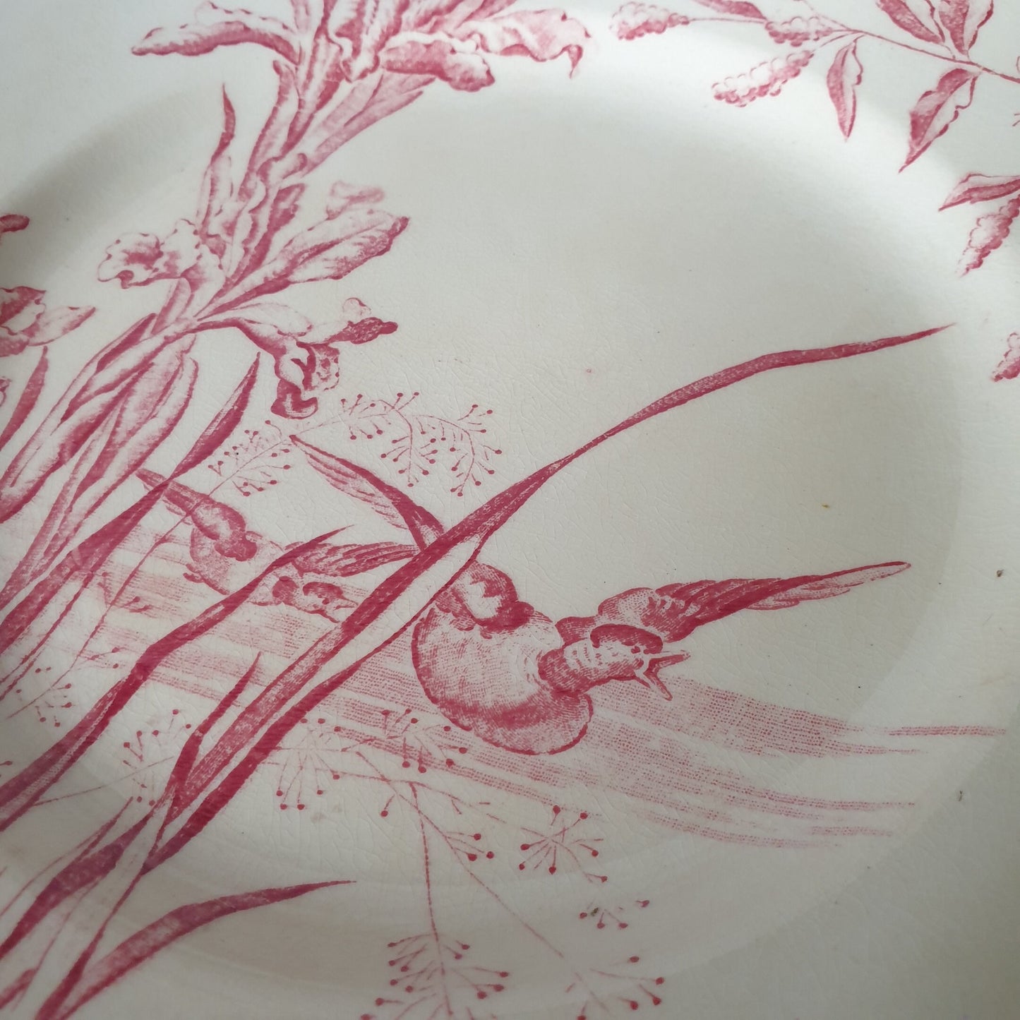 French antique flat plates, iris floral w ducks, red & white Aesthetic Movement transferware c1910 Salins France, ornithological plates