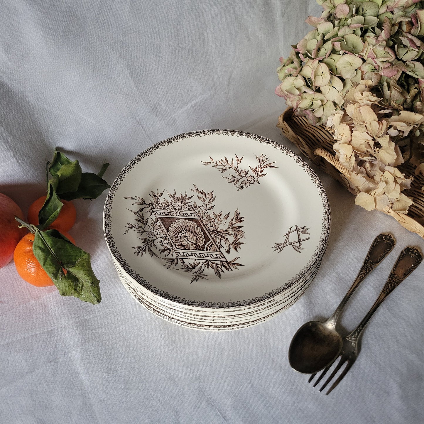 Set of 8 French antique plates brown transferware c1880 aesthetic, Arts and Crafts, peacock floral design, Grand Depot E Bourgeois, Paris
