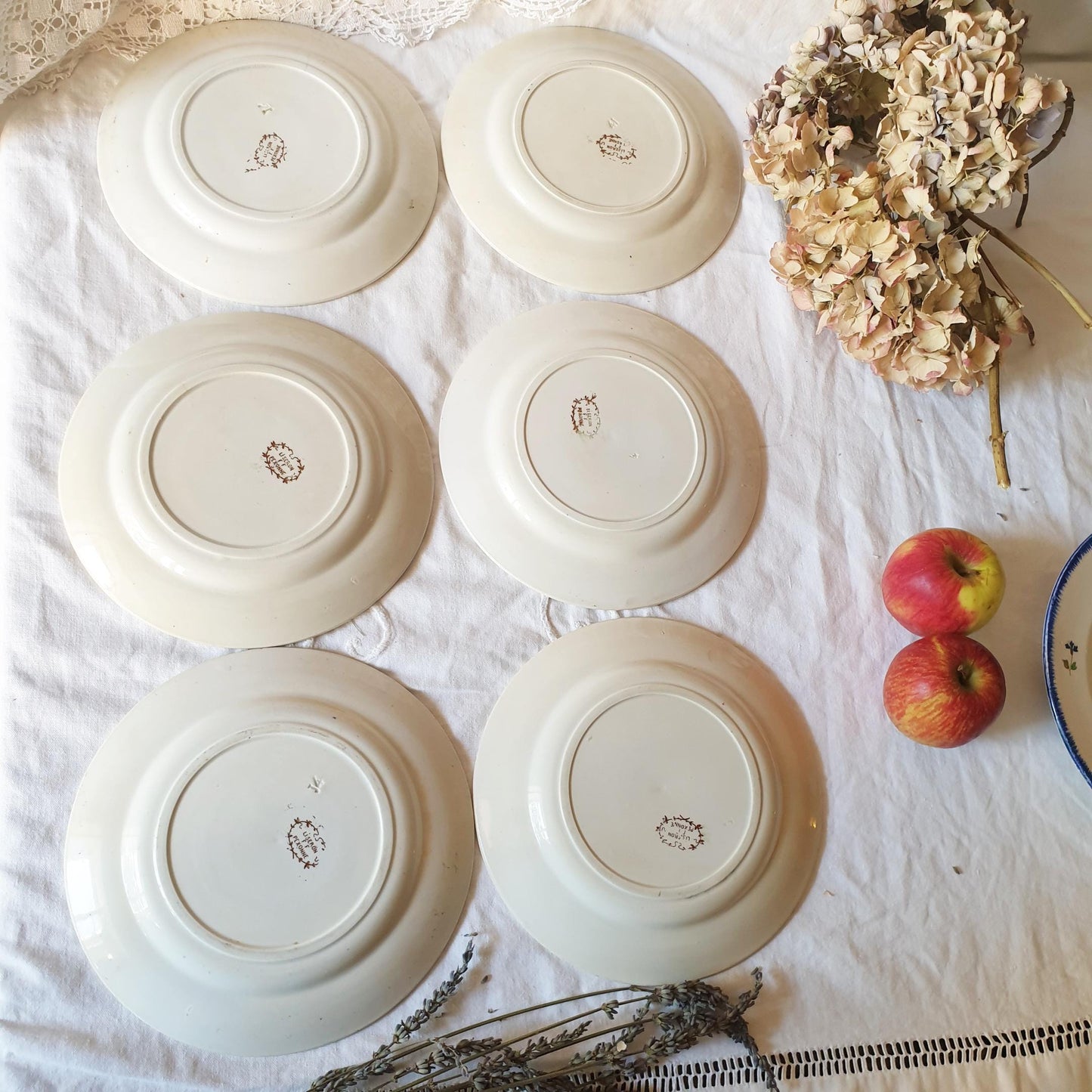 Set 6 French antique breakfast plates brown transferware c1880 aesthetic, Arts and Crafts, floral designs, 'Liseron' pattern Pexonne France