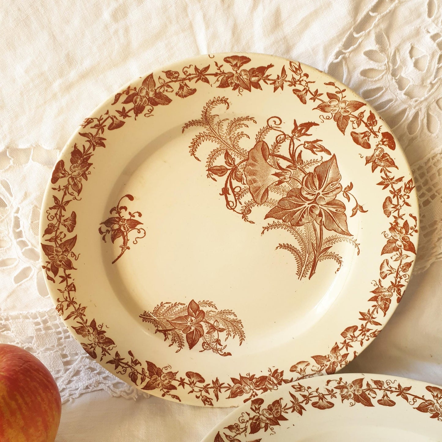 Set 6 French antique breakfast plates brown transferware c1880 aesthetic, Arts and Crafts, floral designs, 'Liseron' pattern Pexonne France