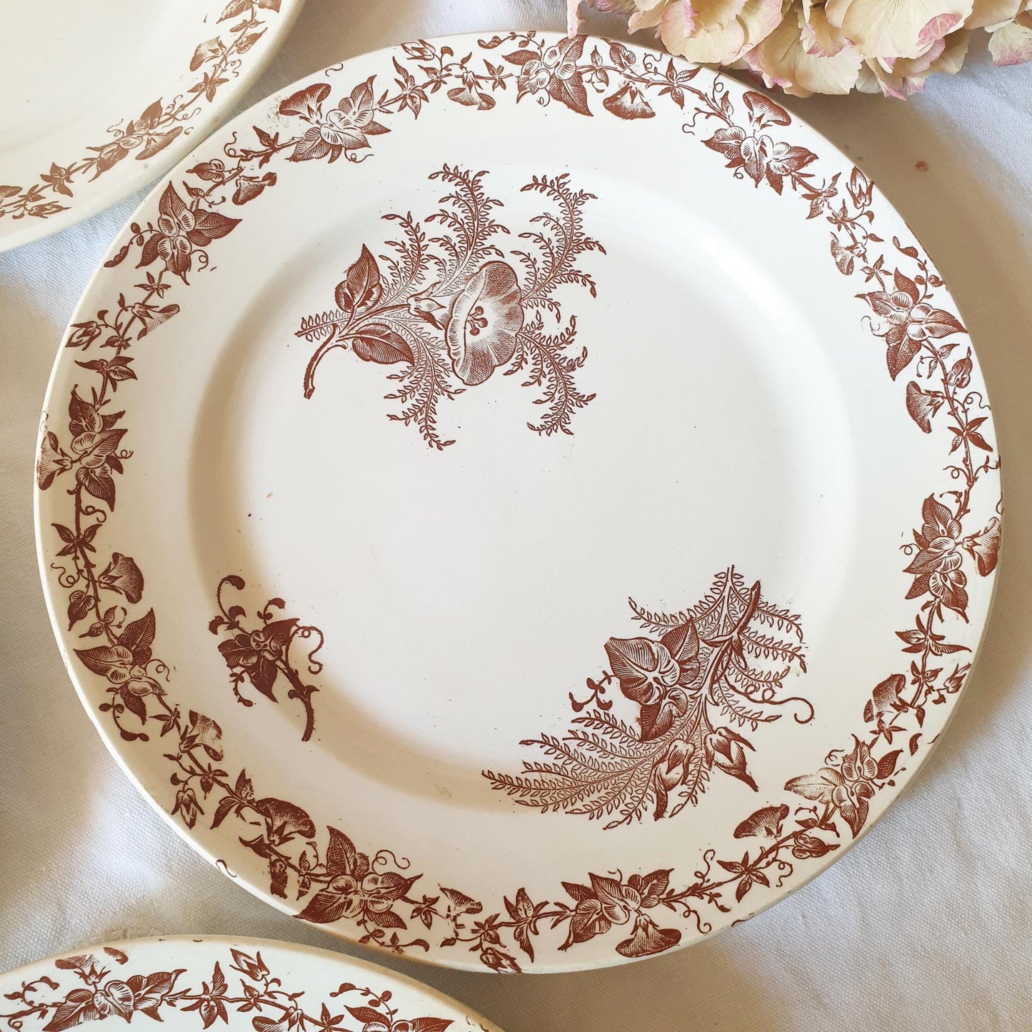 Set 6 French antique breakfast plates brown transferware c1880 aesthetic, Arts and Crafts, floral designs, 'Liseron' pattern Pexonne France