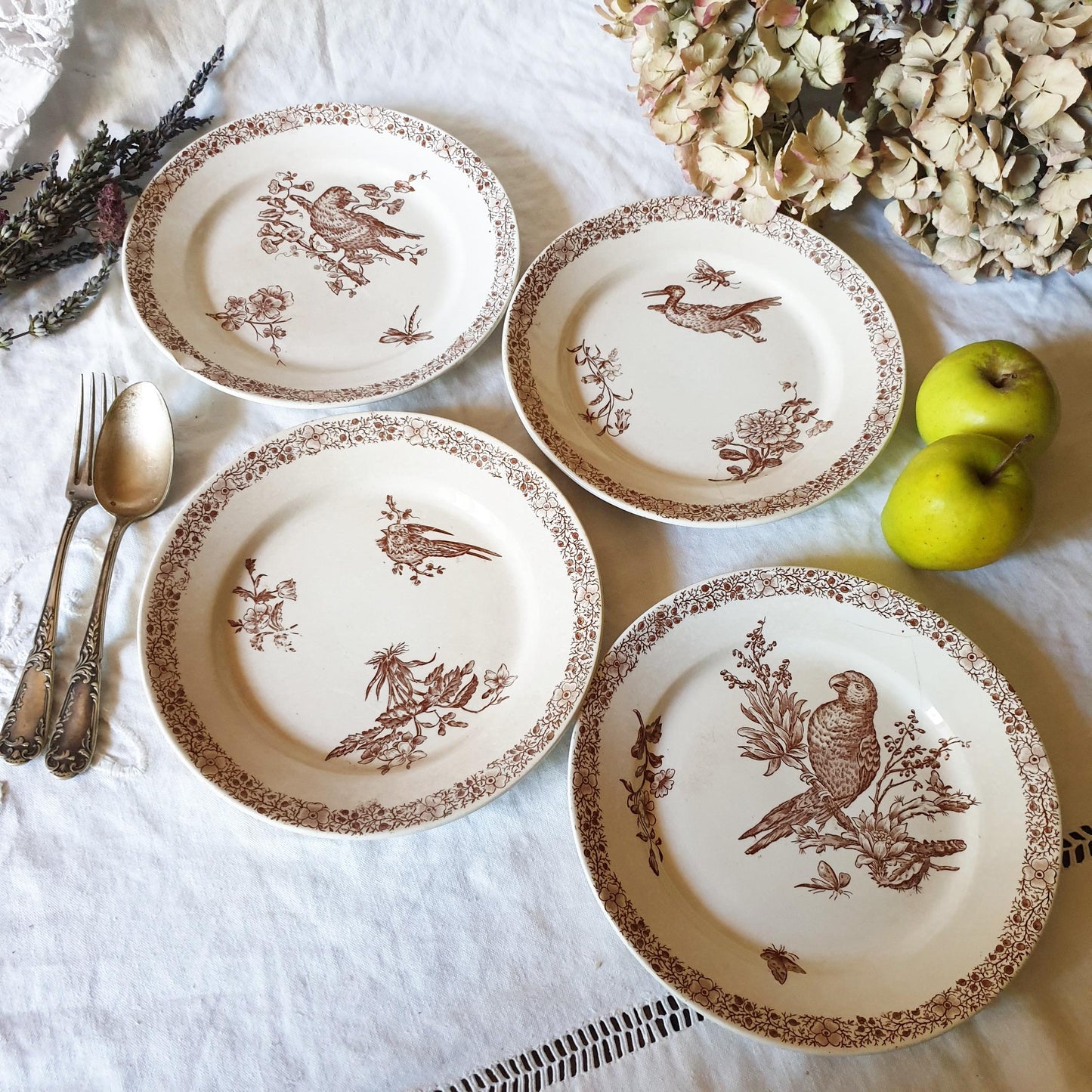 Shabby SET 4 French bird / ornithology antique decor plates, parrots & butterflies in brown transferware 'Floride' by Pexonne, France 1800s