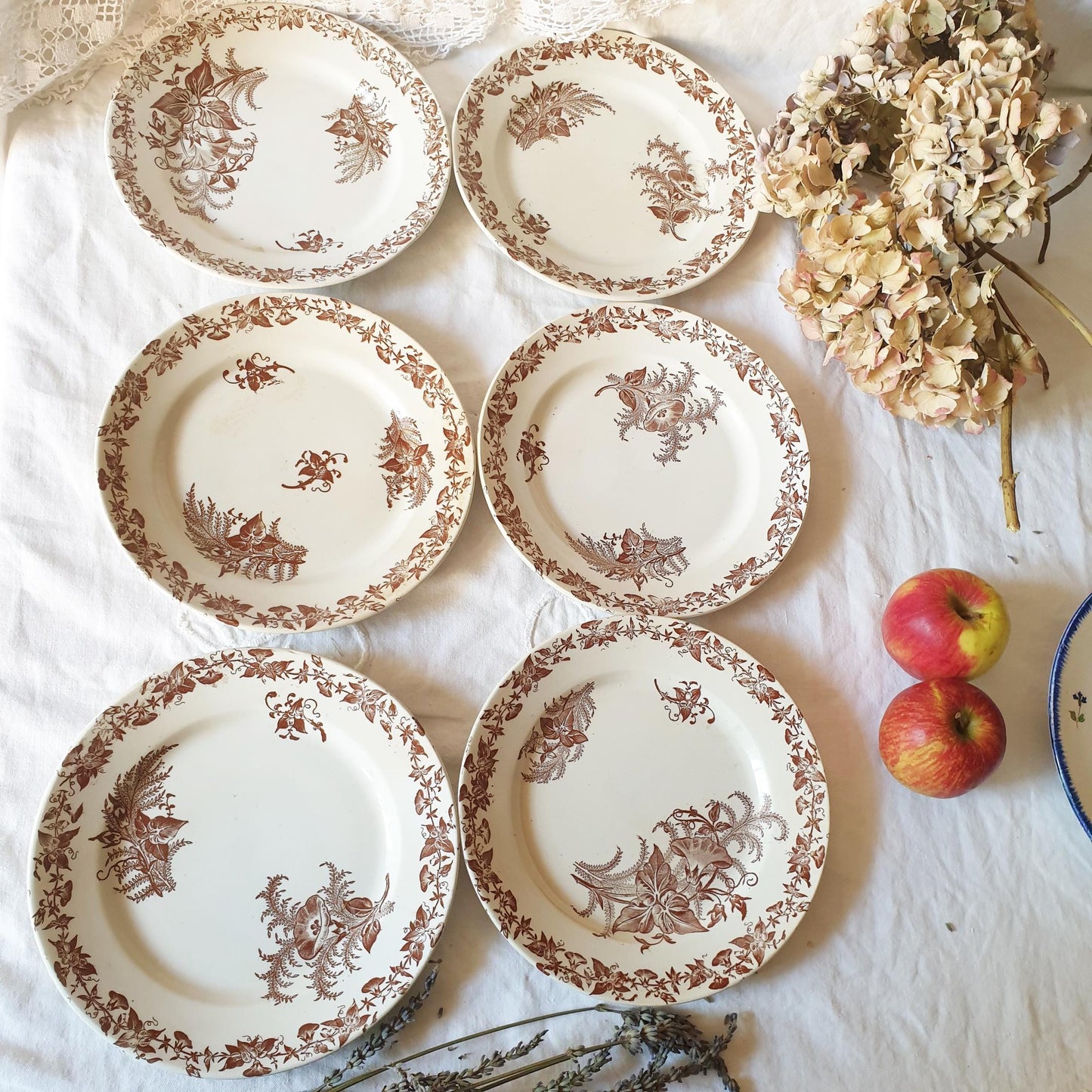 Set 6 French antique breakfast plates brown transferware c1880 aesthetic, Arts and Crafts, floral designs, 'Liseron' pattern Pexonne France