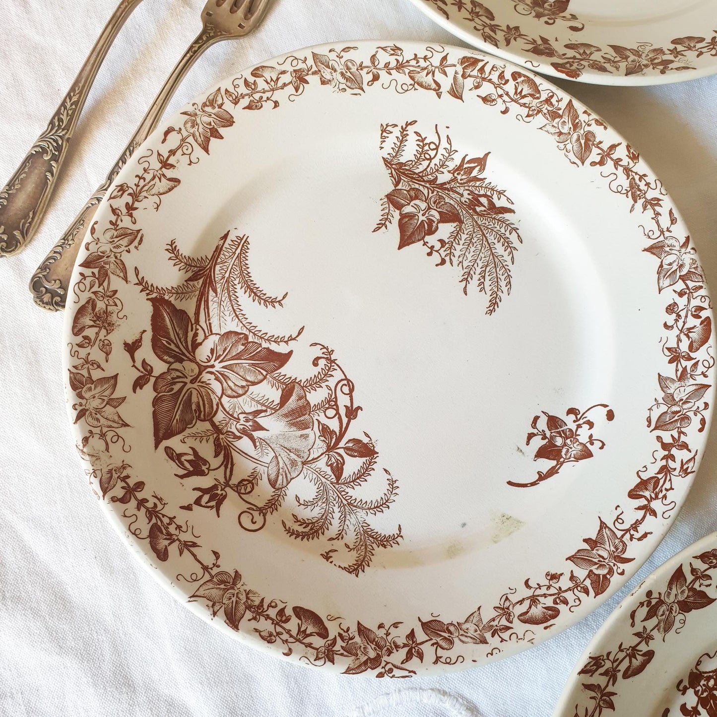 Set 6 French antique breakfast plates brown transferware c1880 aesthetic, Arts and Crafts, floral designs, 'Liseron' pattern Pexonne France