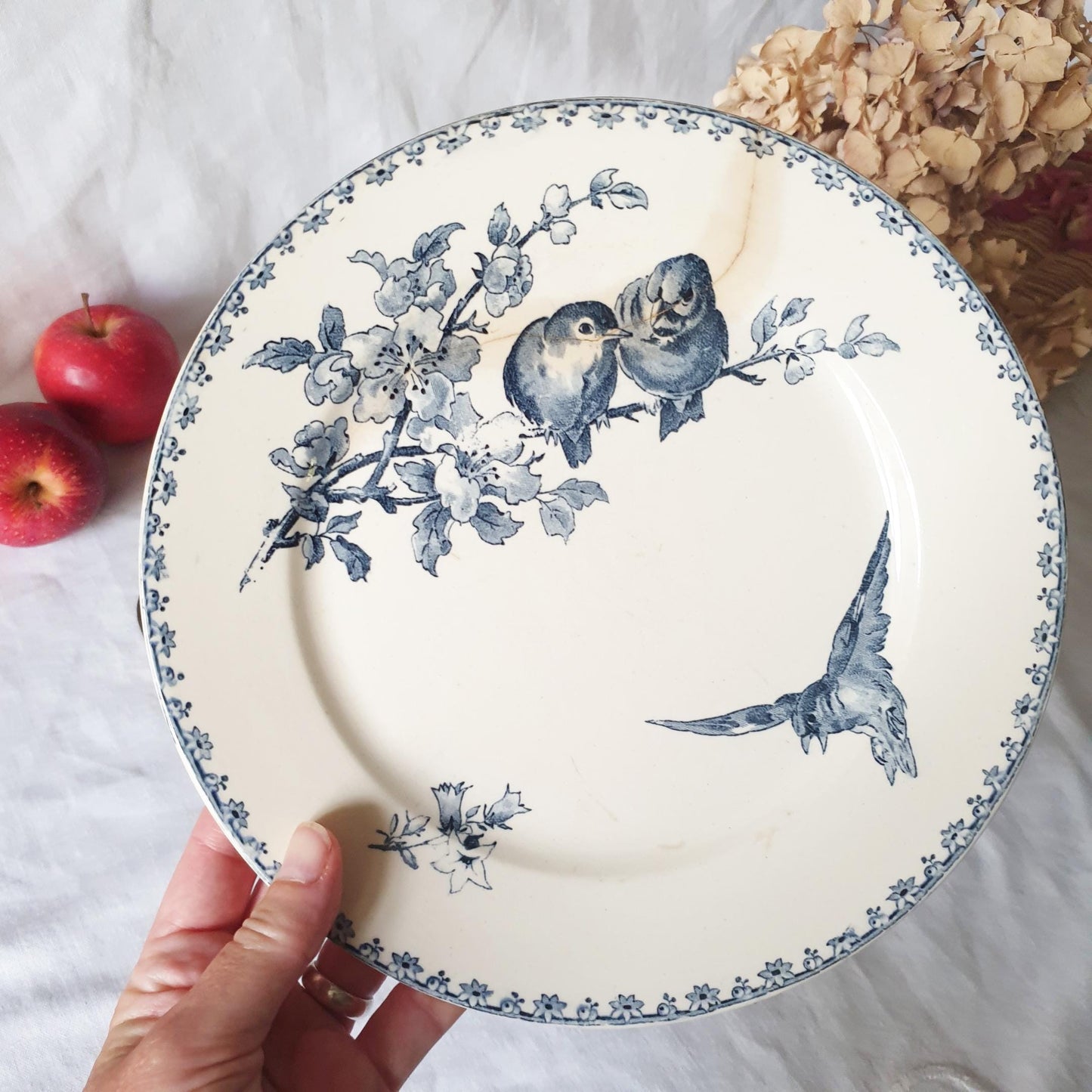 Shabby PAIR of 2 wall plates French antique decor, blue transferware w birds, Sarreguemines France 'Favori' Aesthetic Movement Arts & Crafts