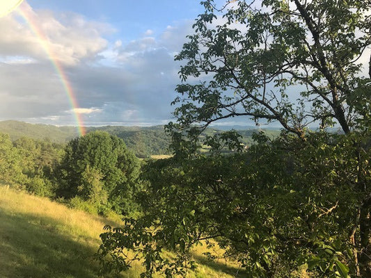 Where is The Brocanteuse?