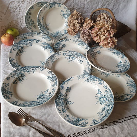 Set of 12 French antique 10" soup plates, blue transferware c1890 'Cyclames' by Leon Graves, Clairefontaine