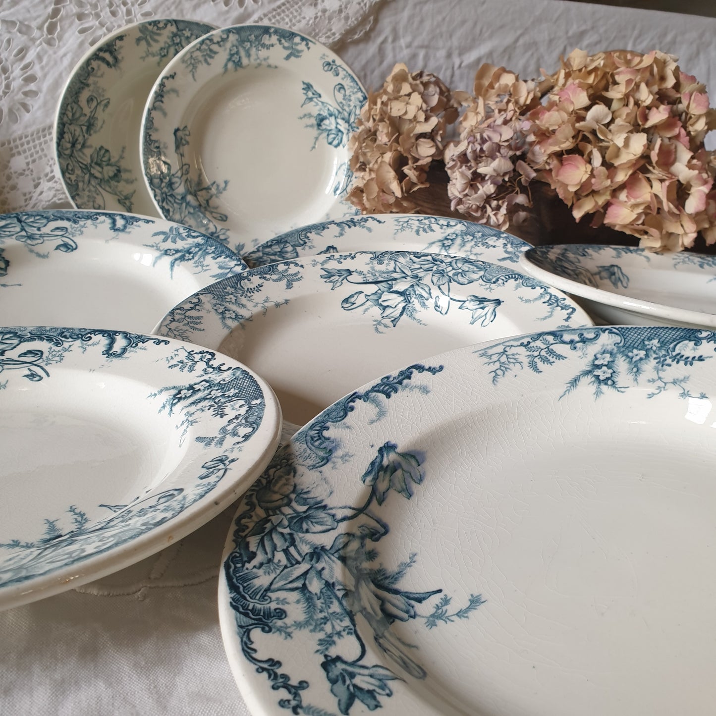 Set of 12 French antique 10" soup plates, blue transferware c1890 'Cyclames' by Leon Graves, Clairefontaine