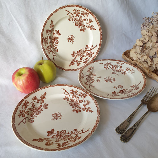 SET of 3 oak and acorn motif brown transferware side plates, French antique Aesthetic Movement, Arts and Crafts, France c1890