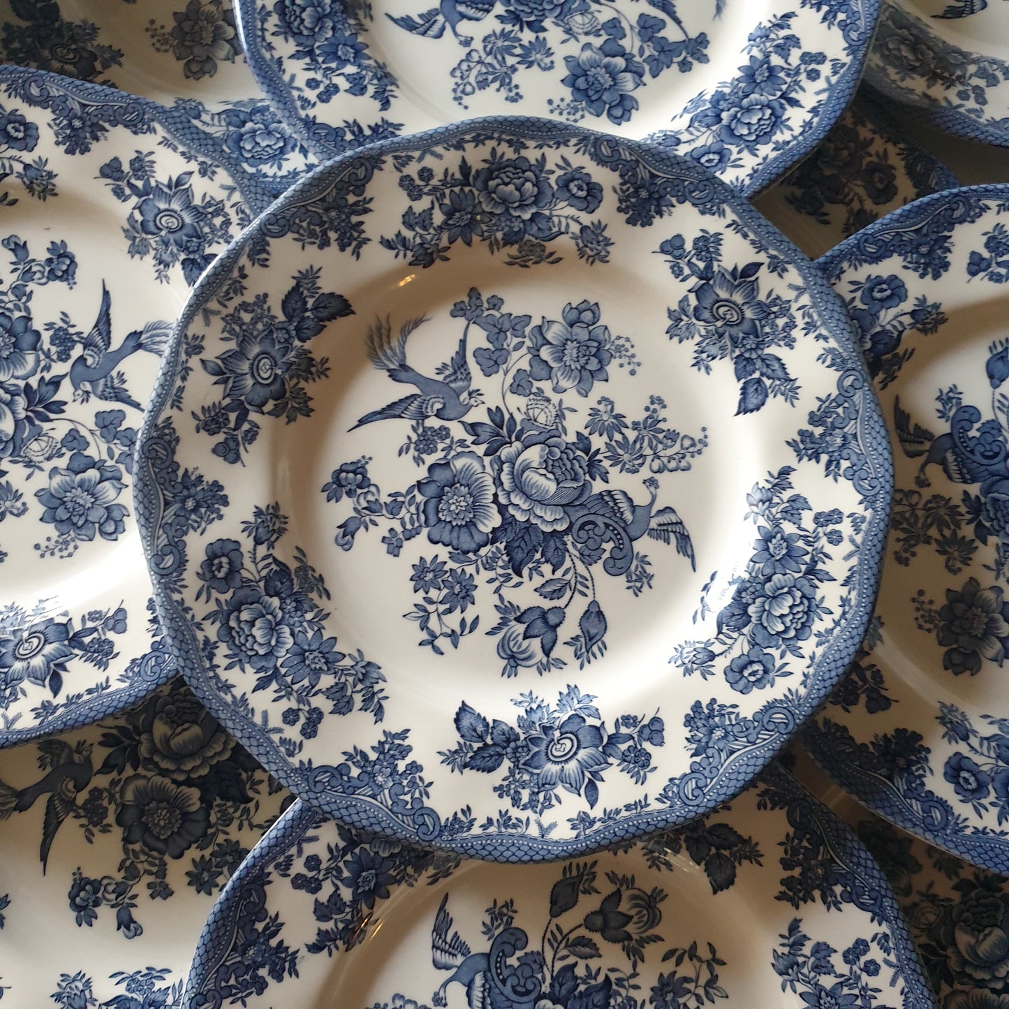 English ironstone vintage dinner set & coffee service, 12-24 places blue transferware, excellent cond. Asiatic Pheasants Enoch Wedgwood