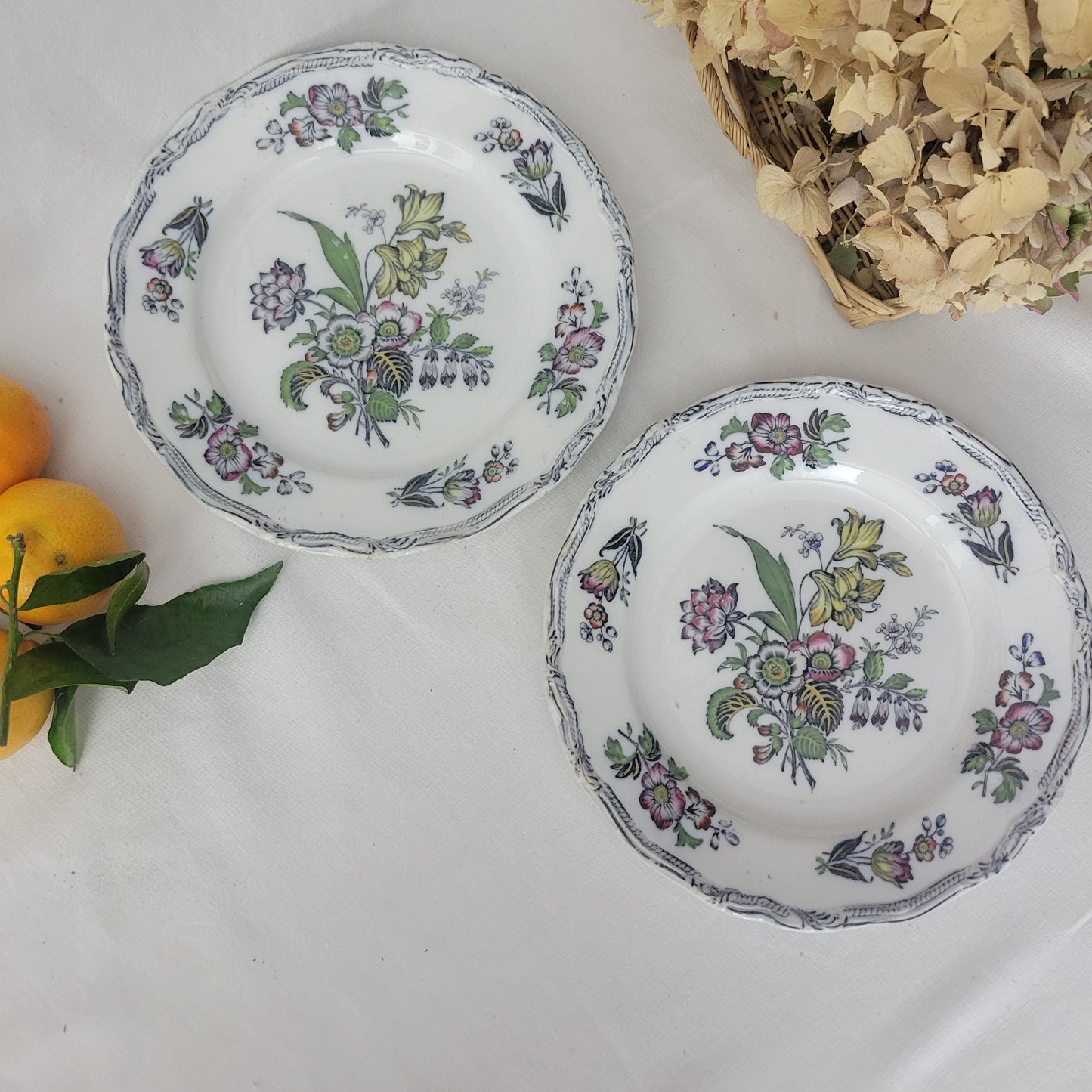 PAIR of English Staffordshire display plates Pinder Bourne & Hope, Hyacinth pattern c1850