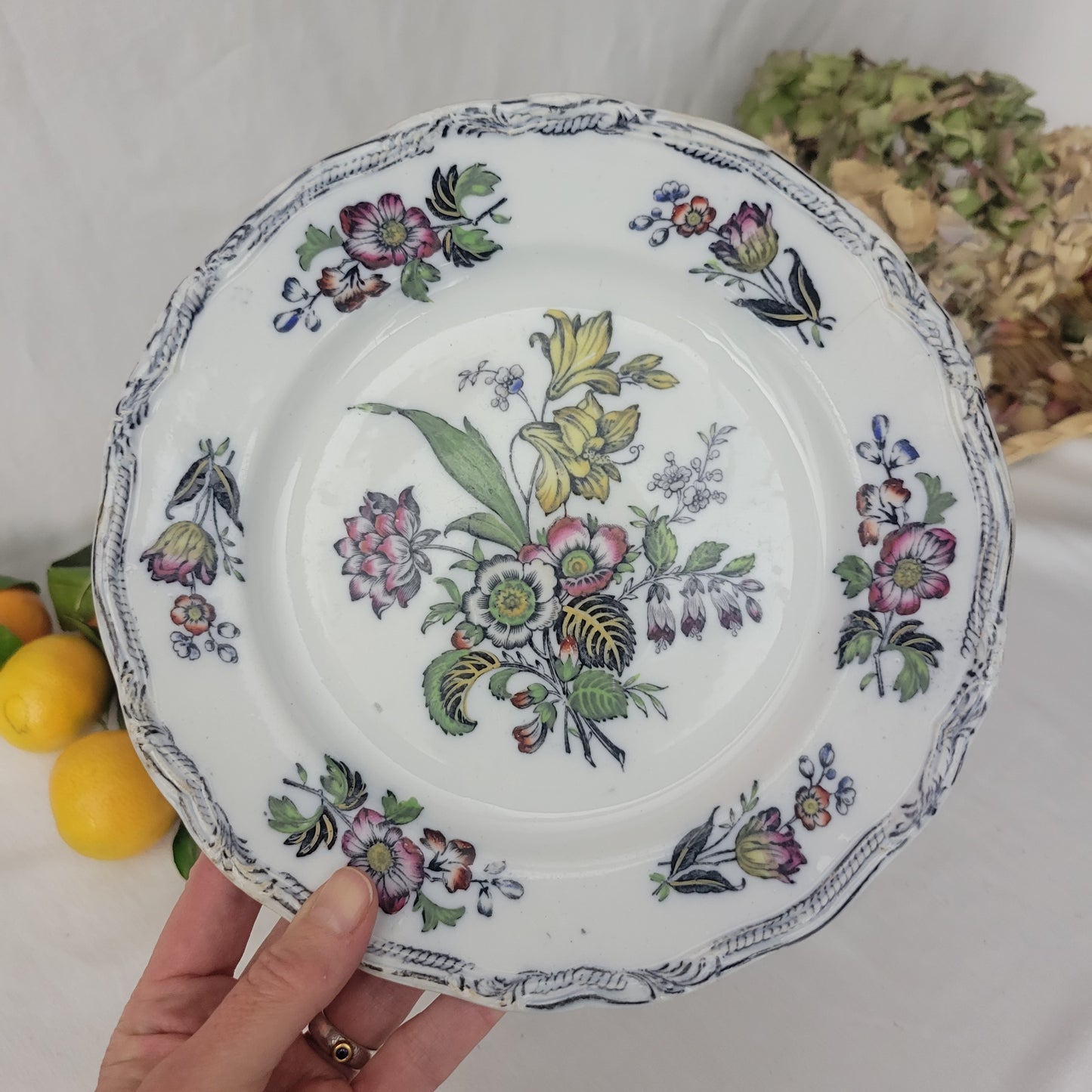 PAIR of English Staffordshire display plates Pinder Bourne & Hope, Hyacinth pattern c1850