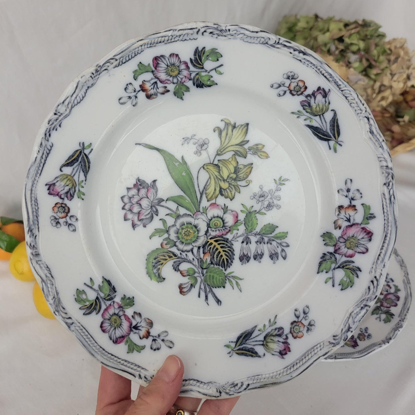 PAIR of English Staffordshire display plates Pinder Bourne & Hope, Hyacinth pattern c1850