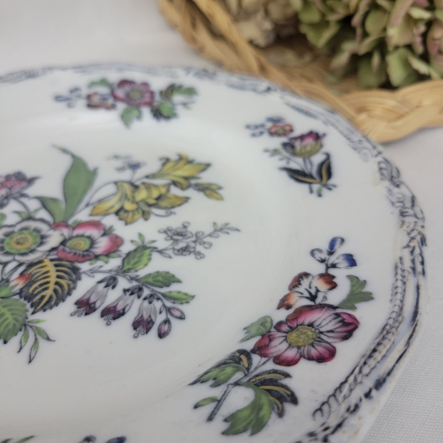 PAIR of English Staffordshire display plates Pinder Bourne & Hope, Hyacinth pattern c1850