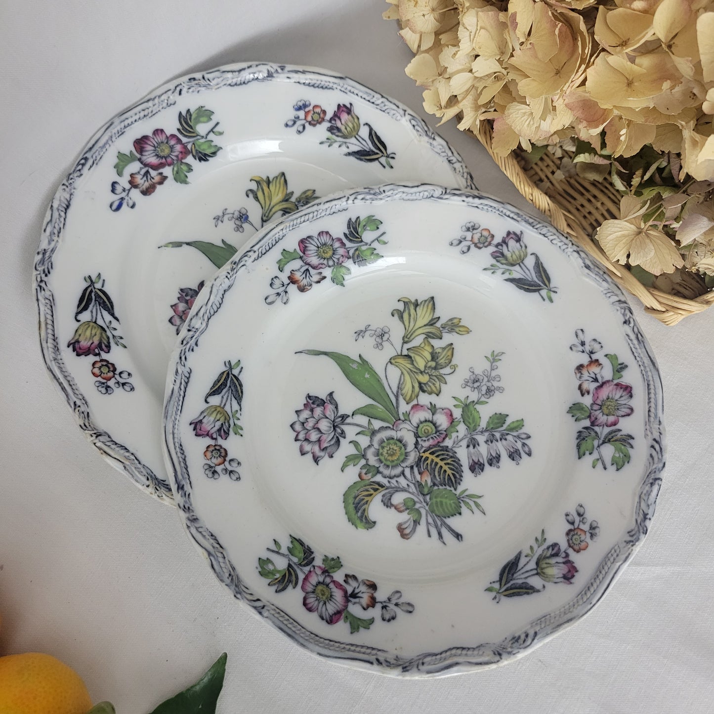 PAIR of English Staffordshire display plates Pinder Bourne & Hope, Hyacinth pattern c1850