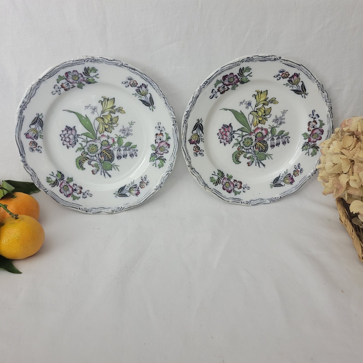 PAIR of English Staffordshire display plates Pinder Bourne & Hope, Hyacinth pattern c1850