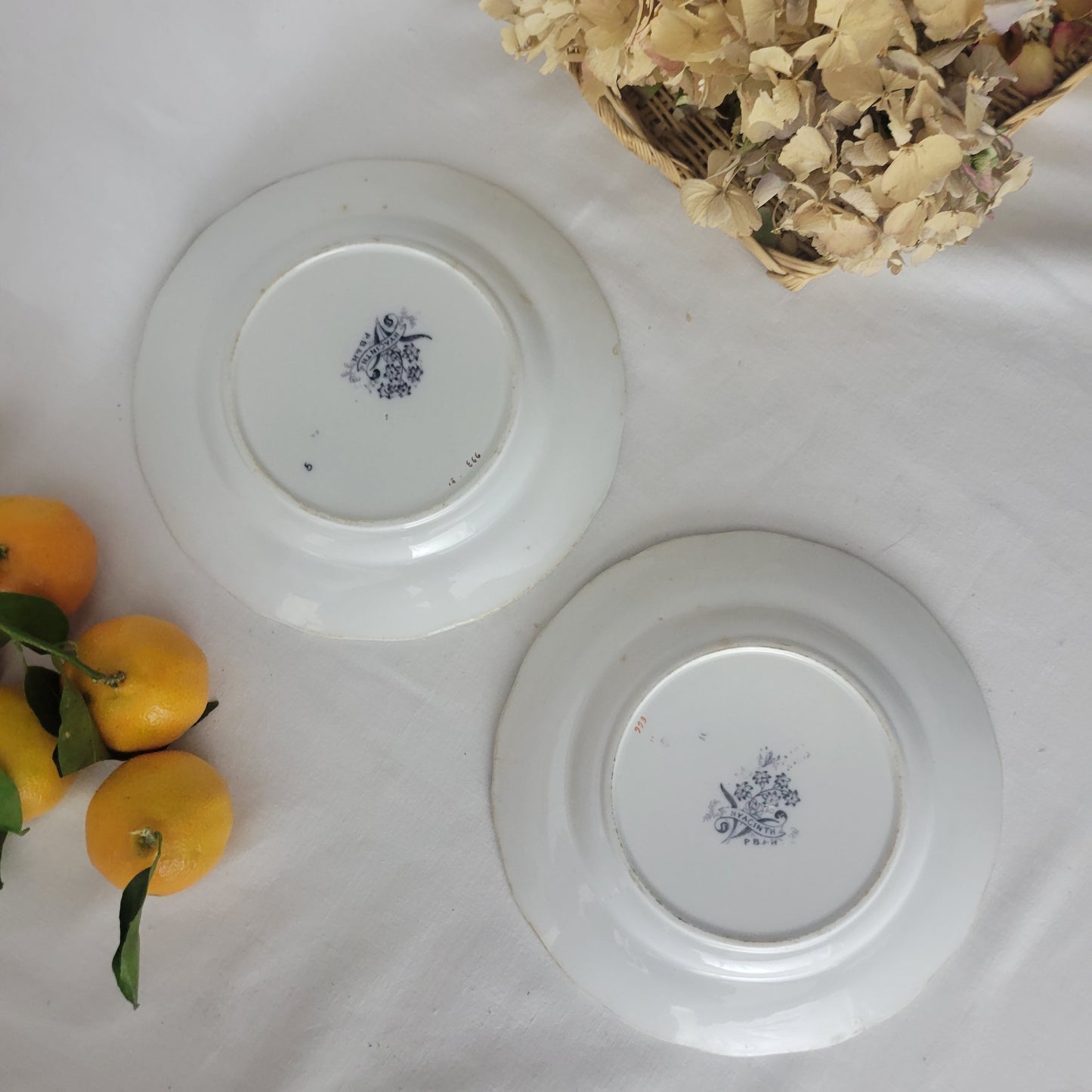 PAIR of English Staffordshire display plates Pinder Bourne & Hope, Hyacinth pattern c1850