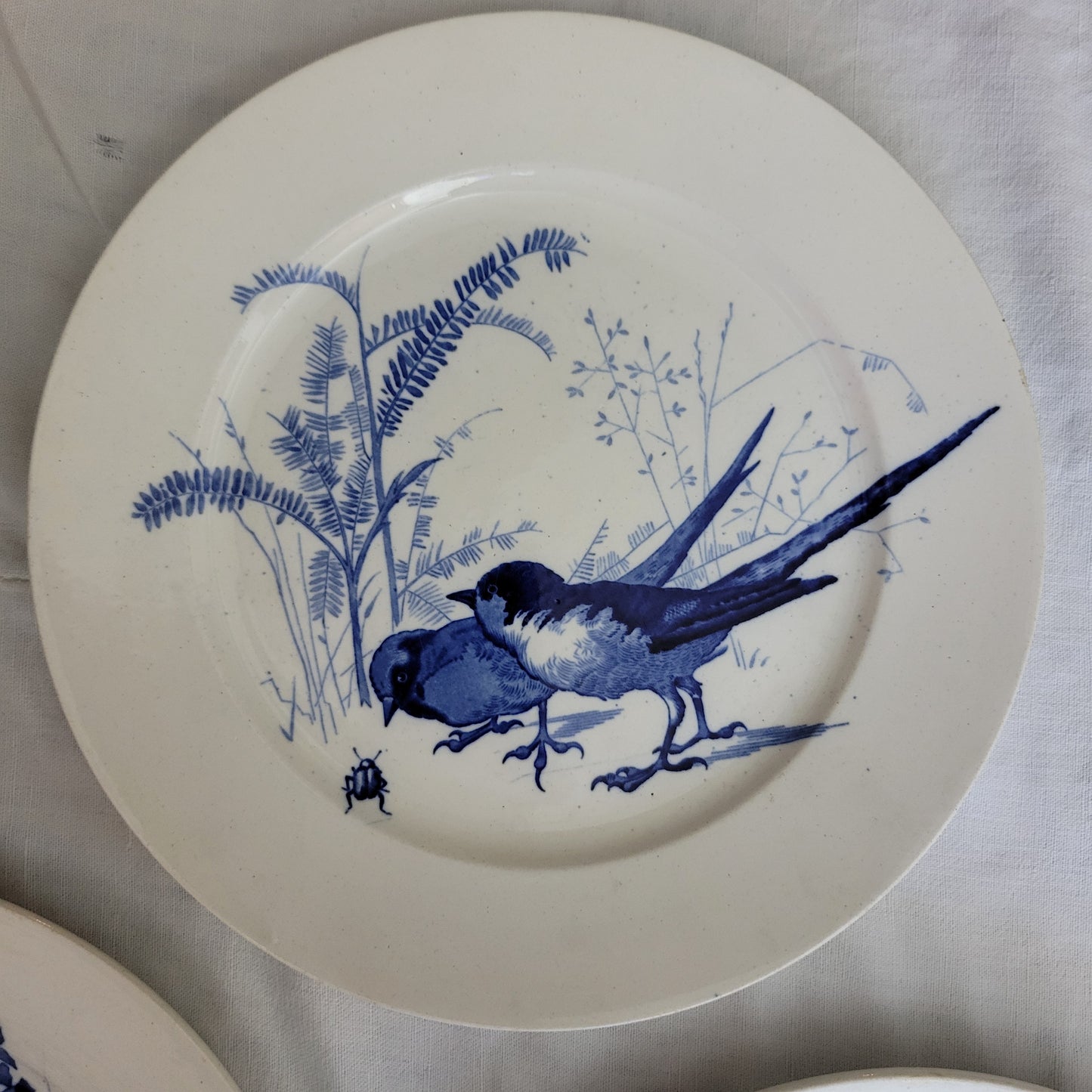 Antique Pierre Mallett 'Canova' ornithological bird plate Staffordshire c1868 blue & white, Brown Westhead Moore for E Bourgouis Paris