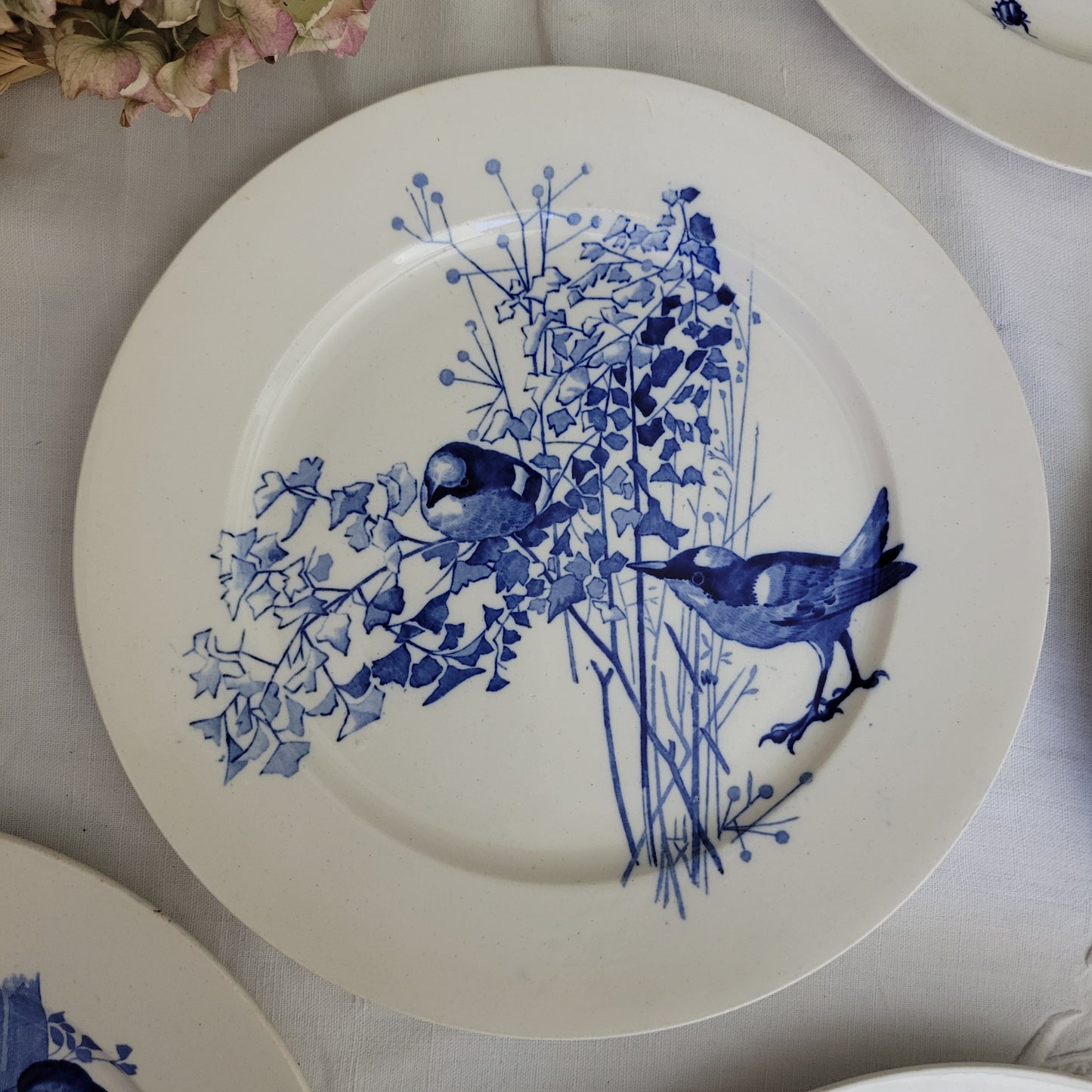 Antique Pierre Mallett 'Canova' ornithological bird plate Staffordshire c1868 blue & white, Brown Westhead Moore for E Bourgouis Paris