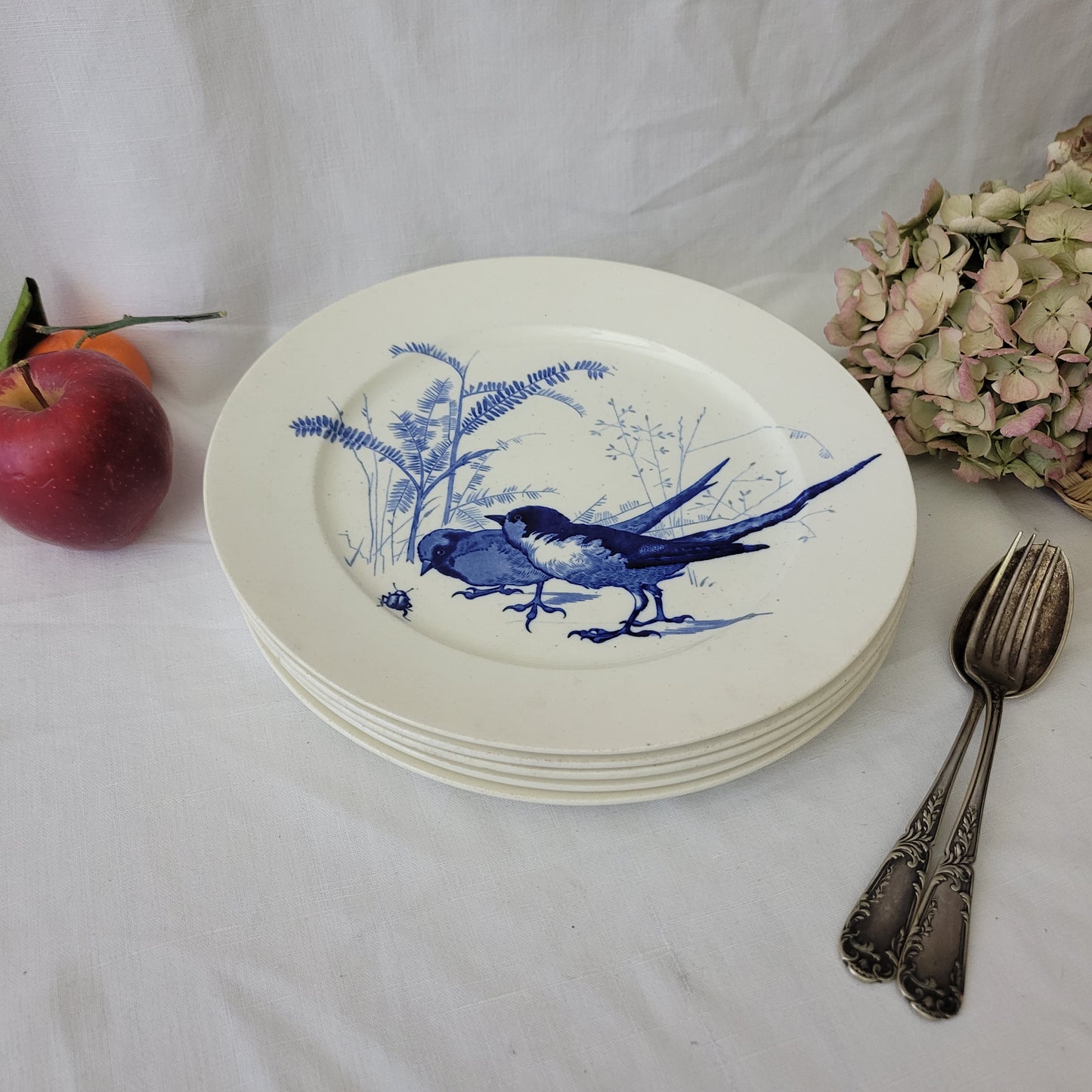 Antique Pierre Mallett 'Canova' ornithological bird plate Staffordshire c1868 blue & white, Brown Westhead Moore for E Bourgouis Paris