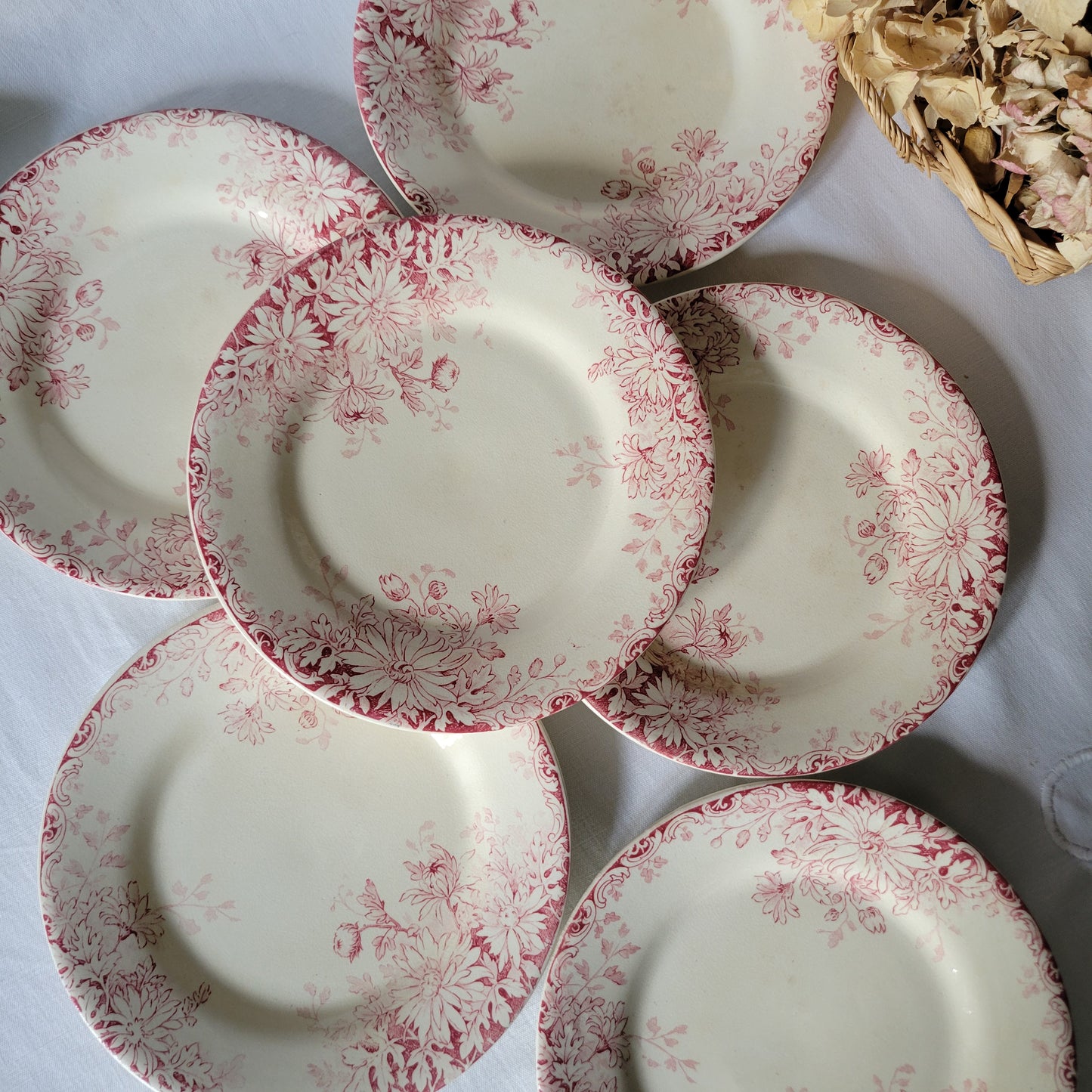 French antique red floral SET of 6 ironstone side plates, red transferware, 'Fleurs d'Automne' Gien France c1890