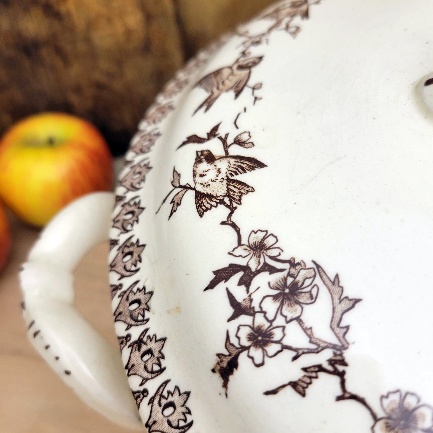 Brown transferware soup tureen with bird & blossom pattern, floral French ironstone from Choisy le Roi, c1890, excellent condition