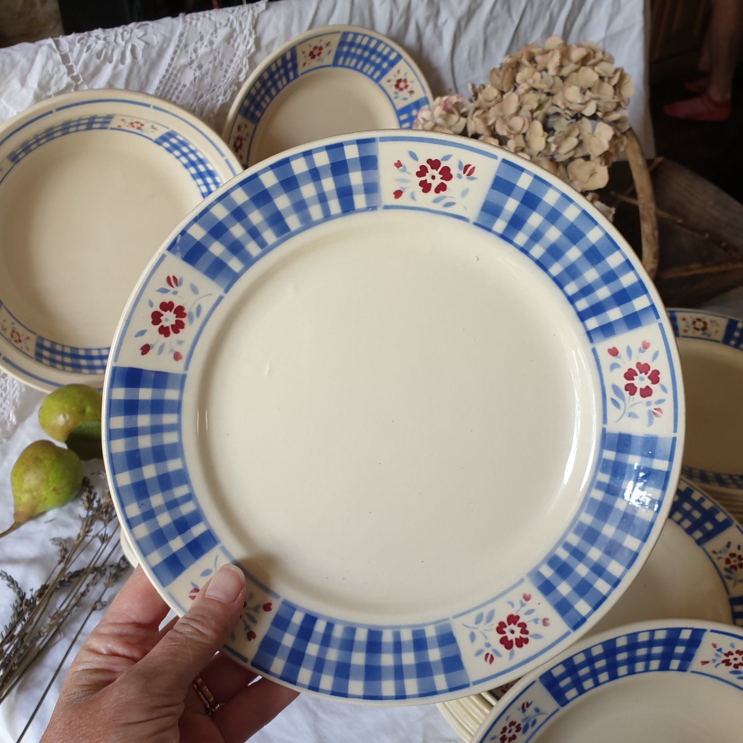 Vintage French Luneville Dinnerware, Blue White Check, 10-Places, 25 Piece Set