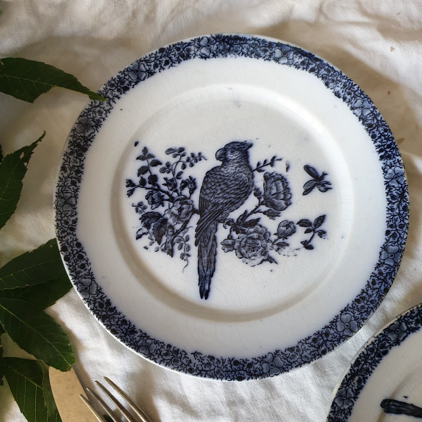 Antique French Faience Parrot Plates, Pexonne Floride Pattern, Pair