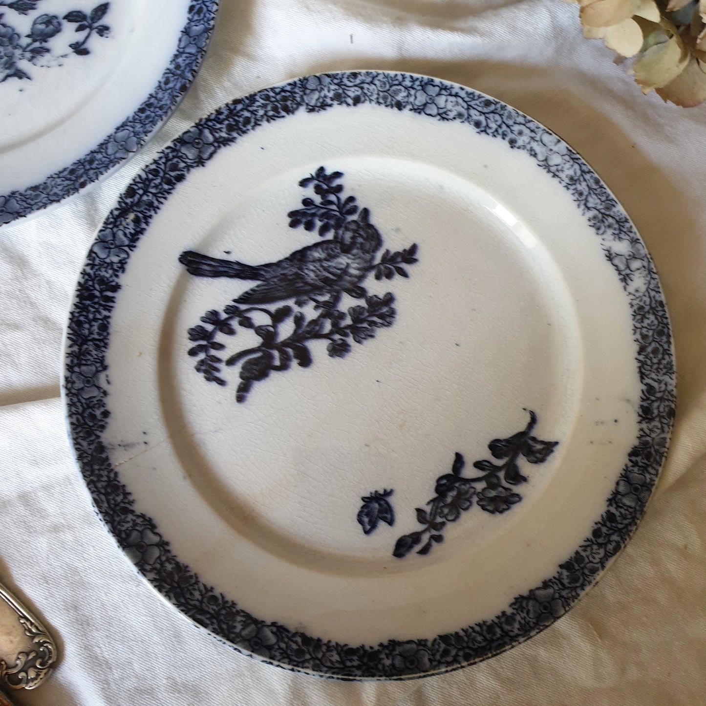 Antique French Faience Parrot Plates, Pexonne Floride Pattern, Pair