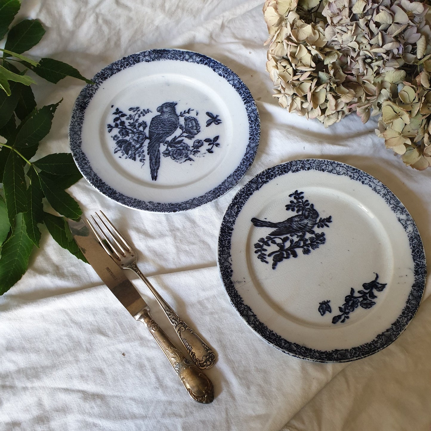Antique French Faience Parrot Plates, Pexonne Floride Pattern, Pair