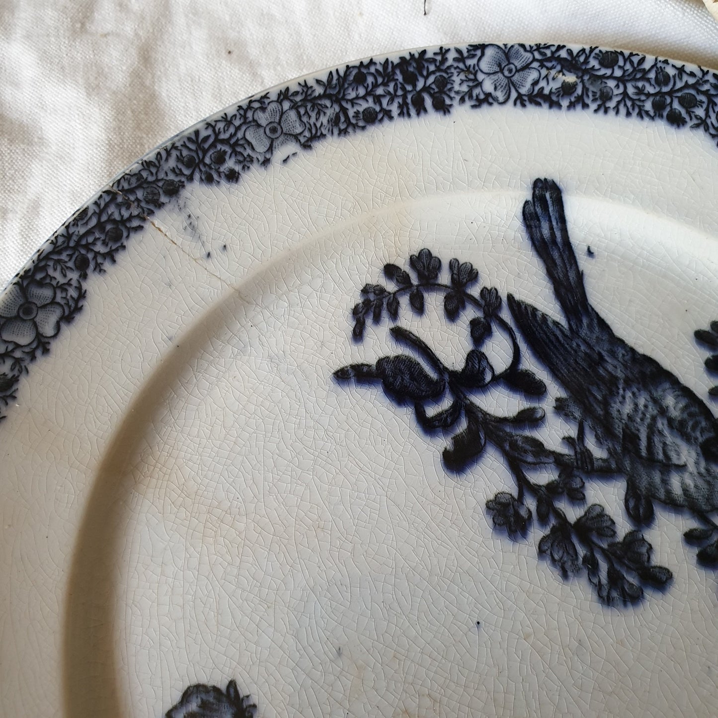 Antique French Faience Parrot Plates, Pexonne Floride Pattern, Pair