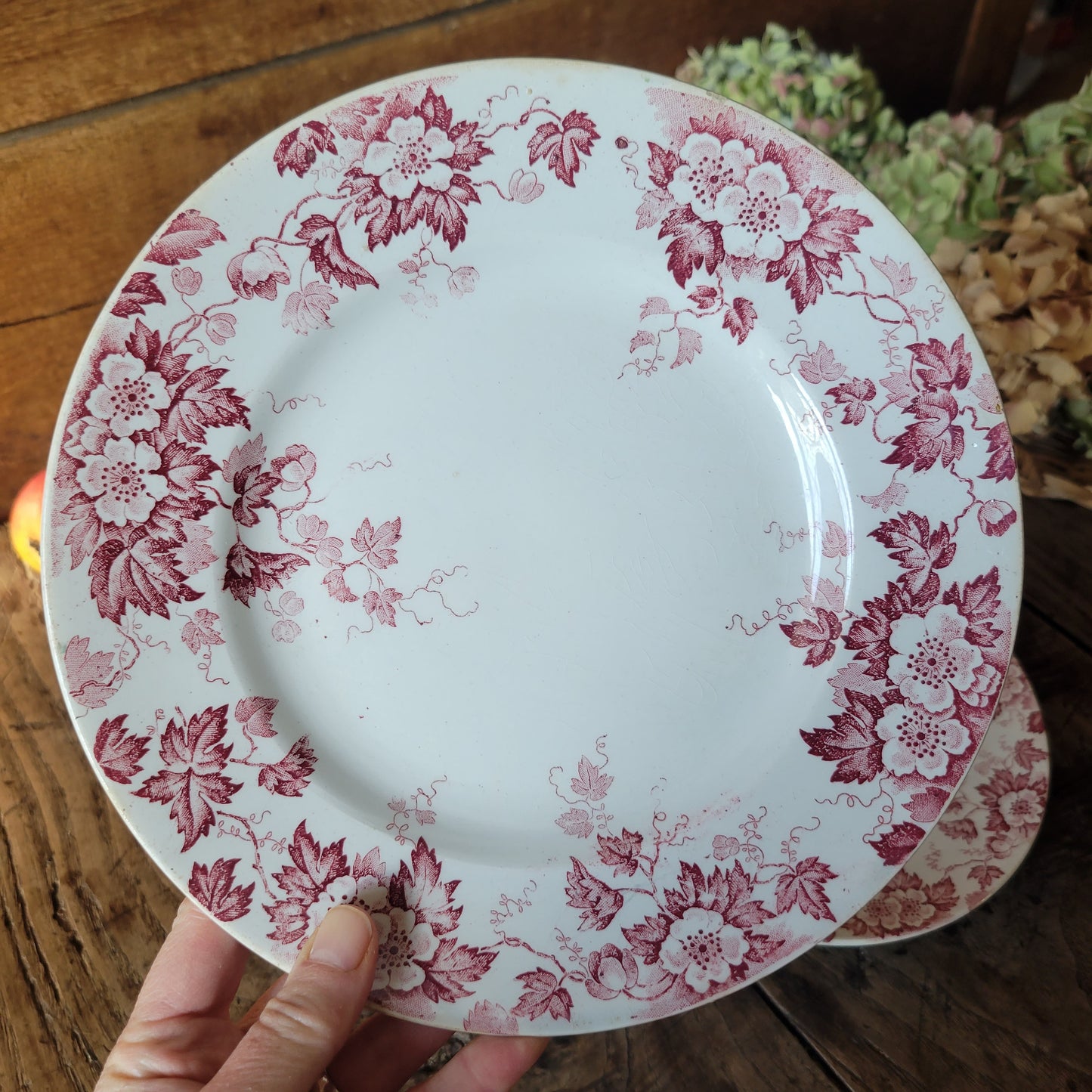 Antique French Ironstone Dinner Plates, Red Floral Transferware, Set of 5