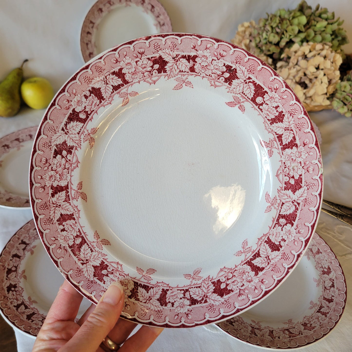 Vintage Ironstone Dinner Plates, Set of 9, Red Transferware St Amand 'Murier'