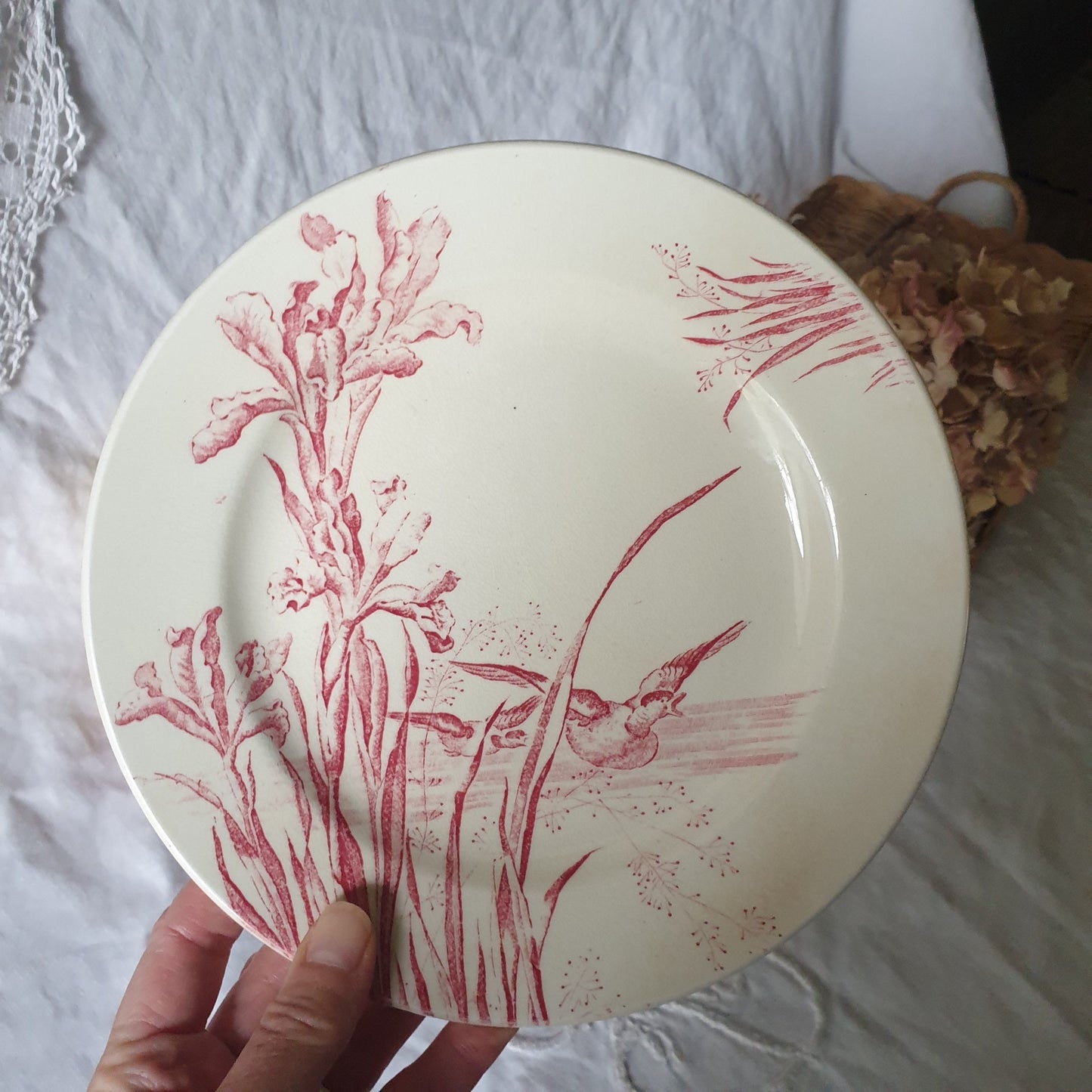 Antique French Transferware Plate, Iris Flowers with Ducks, Salins France c1910