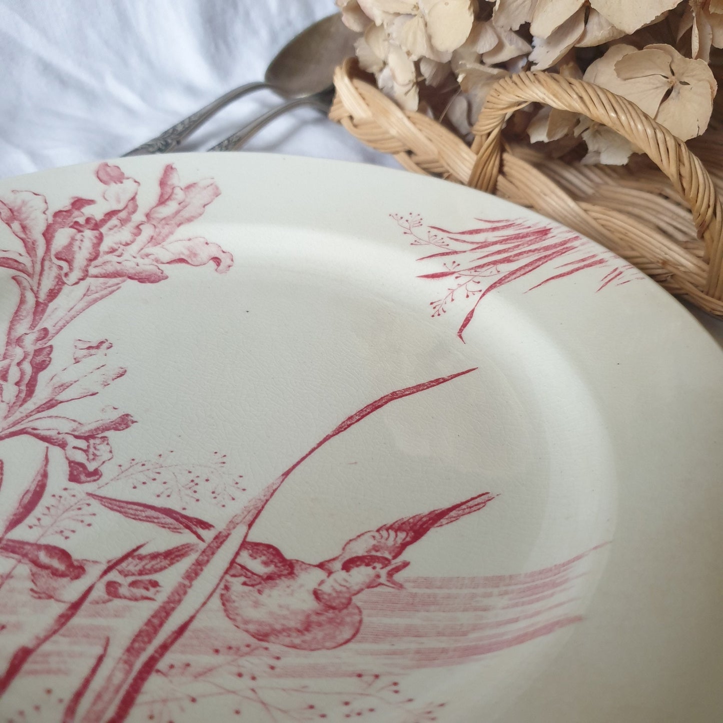 Antique French Transferware Plate, Iris Flowers with Ducks, Salins France c1910