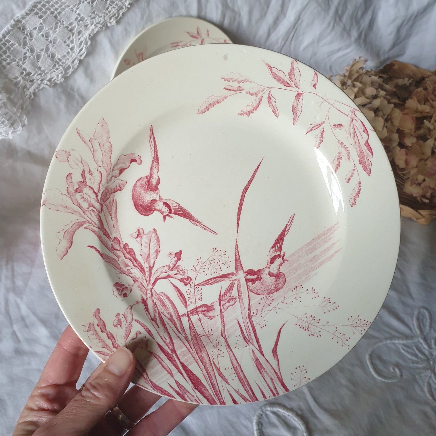 Antique French Transferware Plates, Iris, Ducks, c1910, Salins France (Pair)