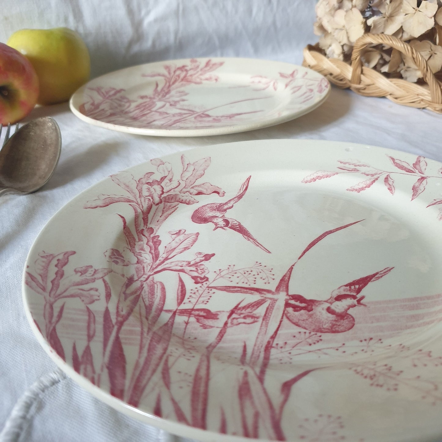 Antique French Transferware Plates, Iris, Ducks, c1910, Salins France (Pair)
