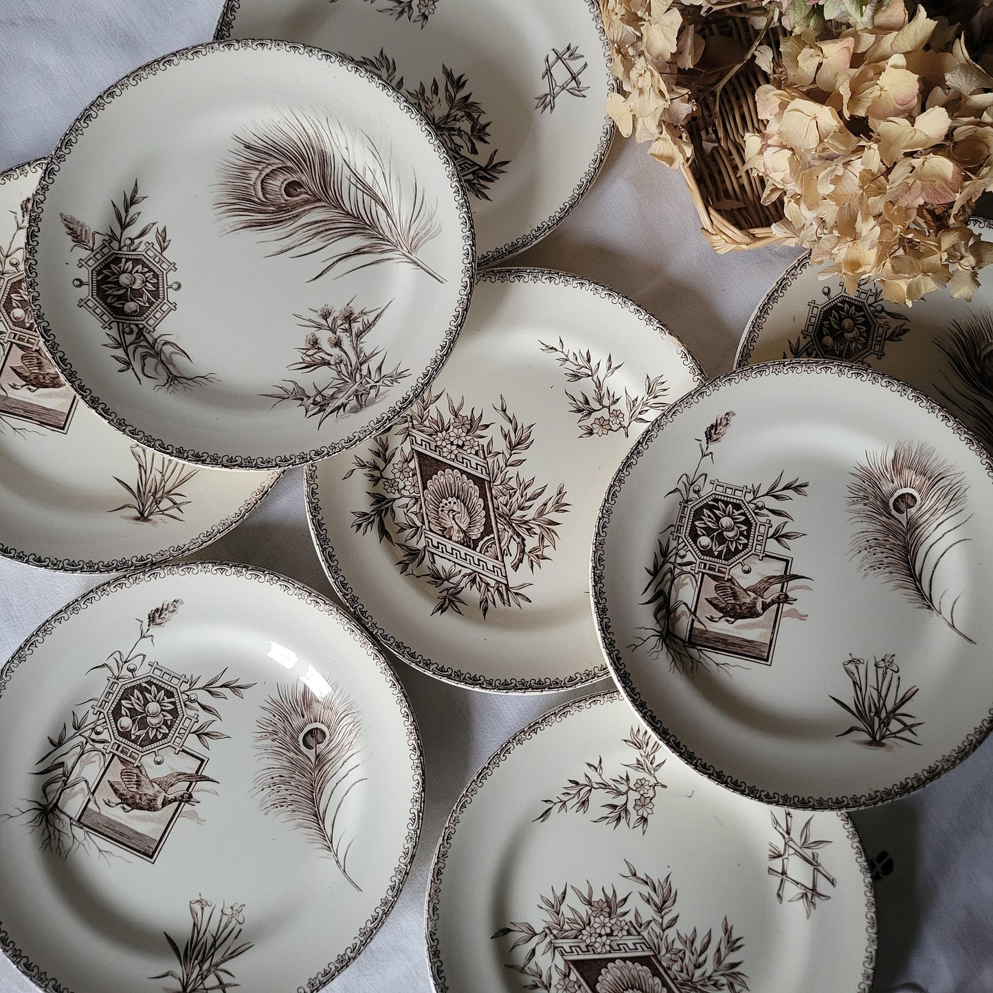 Antique French Transferware Plates, Peacock Floral Design, Set of 8