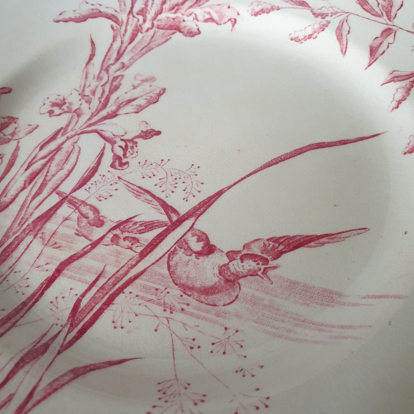 Antique French Transferware Plate, Iris Flowers with Ducks, Salins France c1910
