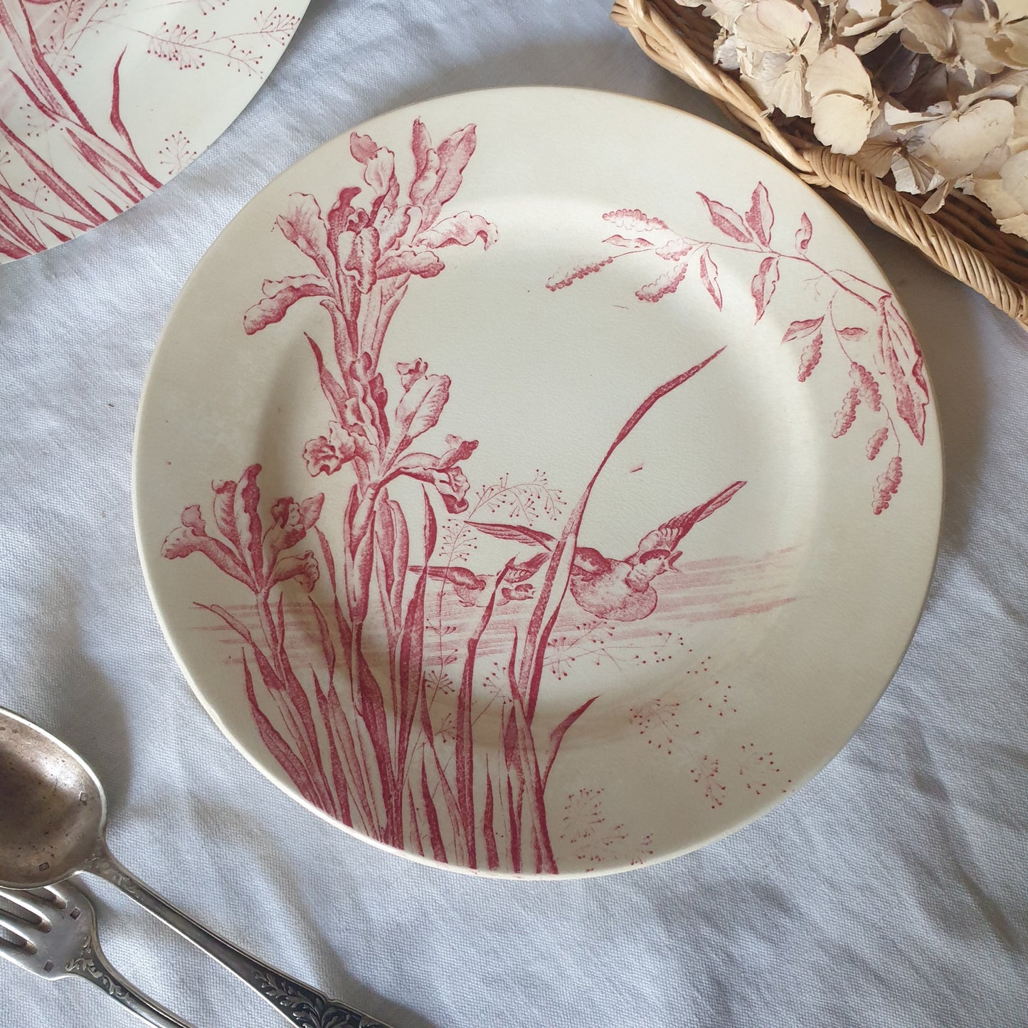 Antique French Transferware Plates, Iris, Ducks, c1910, Salins France (Pair)