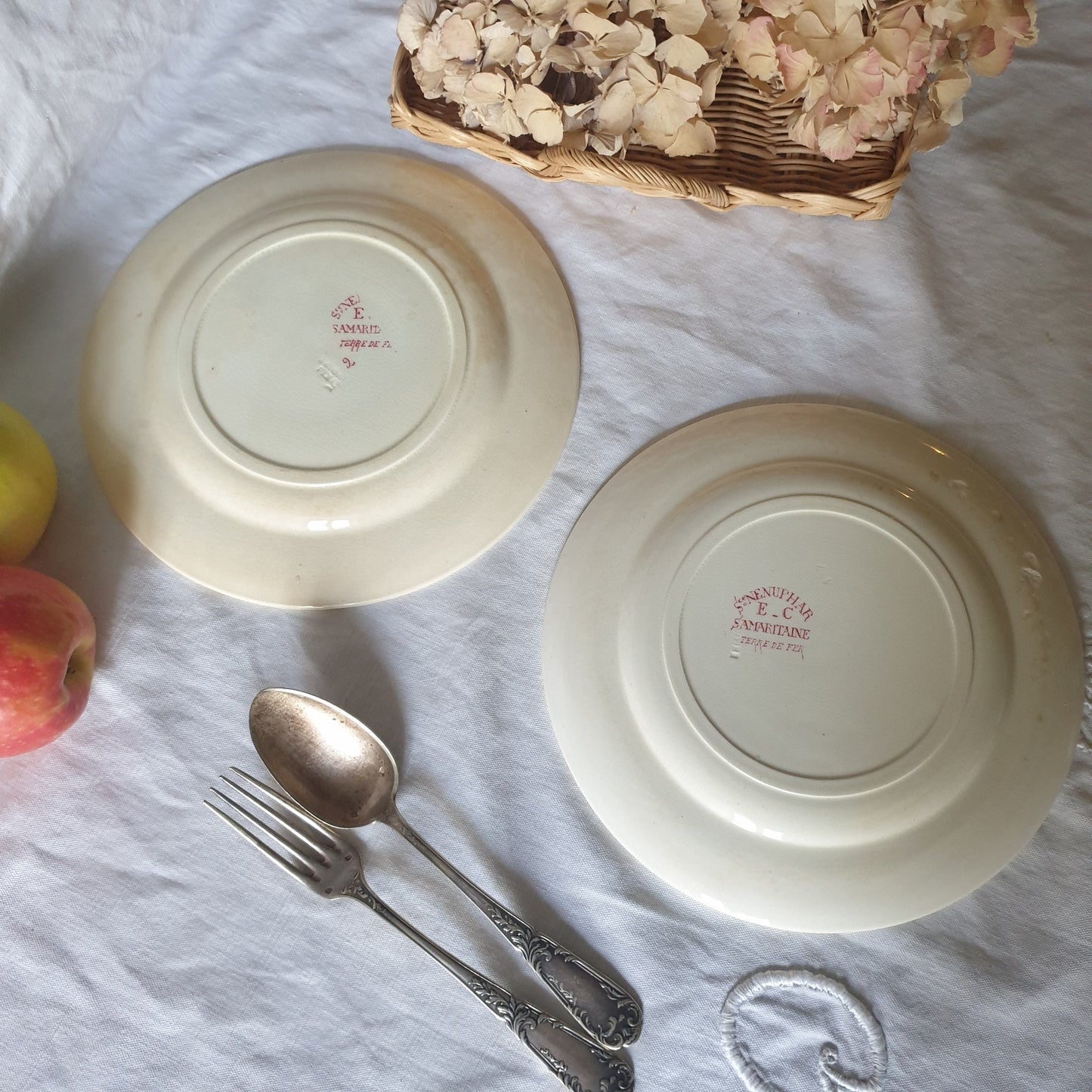 Antique French Transferware Plates, Iris, Ducks, c1910, Salins France (Pair)