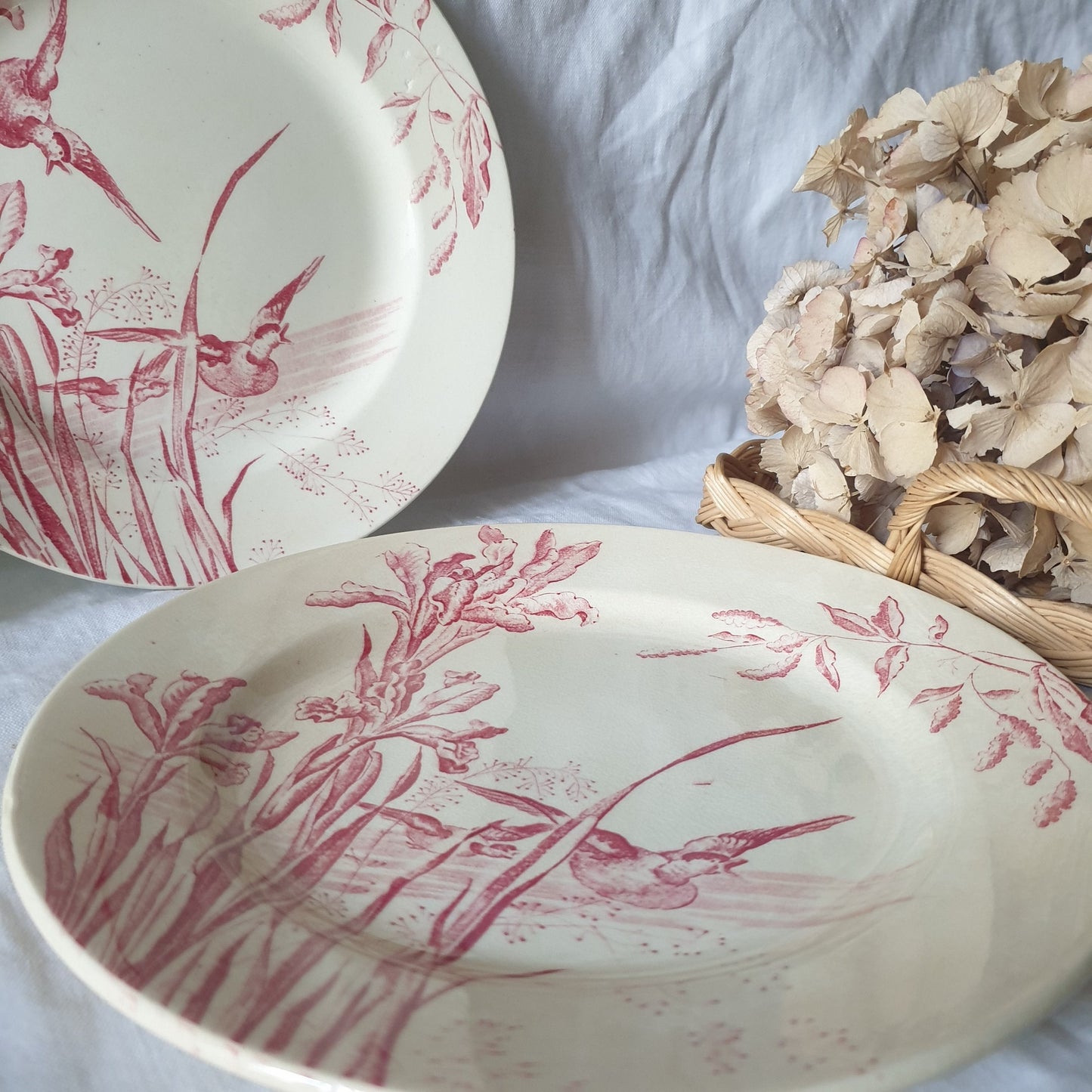 Antique French Transferware Plates, Iris, Ducks, c1910, Salins France (Pair)