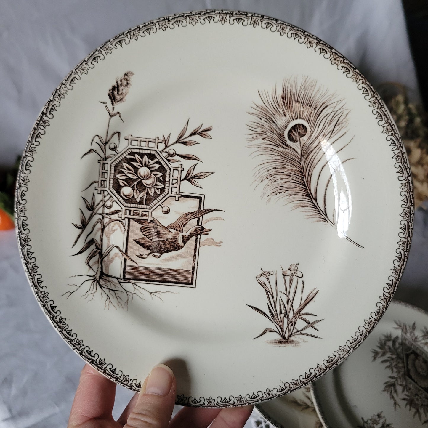 Antique French Transferware Plates, Peacock Floral Design, Set of 8