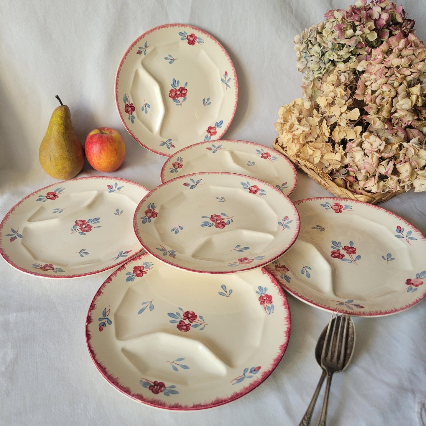 Vintage Sarreguemines Divided Asparagus Plates: Set of 6 Hand painted French Danube Pattern