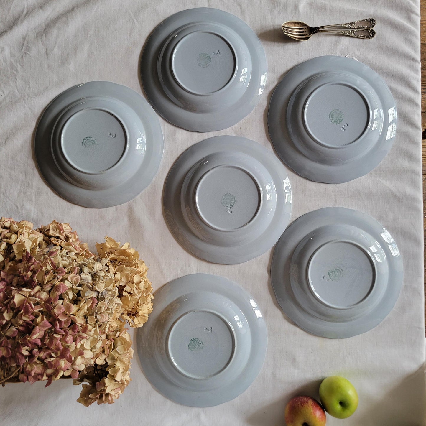 SET 6 light blue soup plates, antique soup plates, duck egg blue, molded and fluted design in excellent condition from Villeroy & Boch c1918