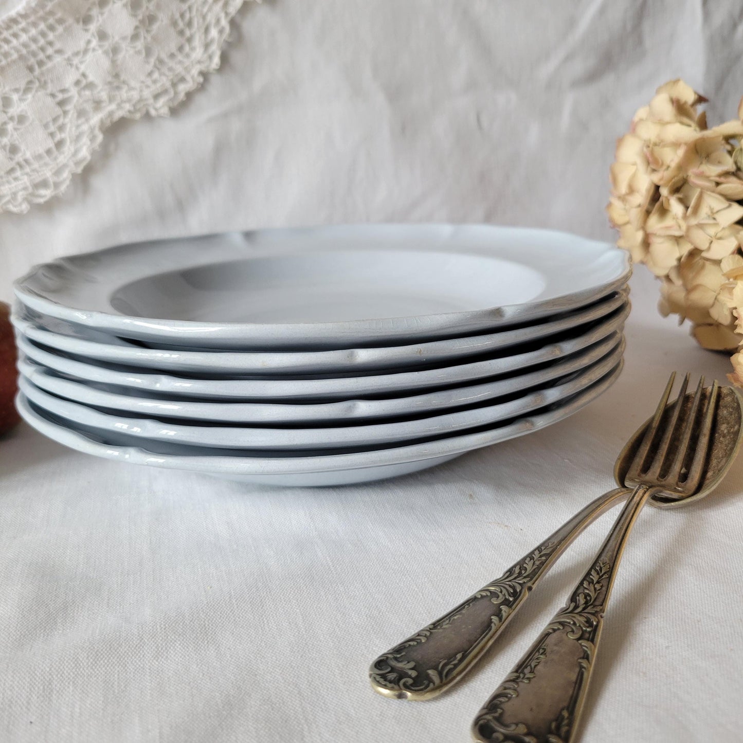 SET 6 light blue soup plates, antique soup plates, duck egg blue, molded and fluted design in excellent condition from Villeroy & Boch c1918