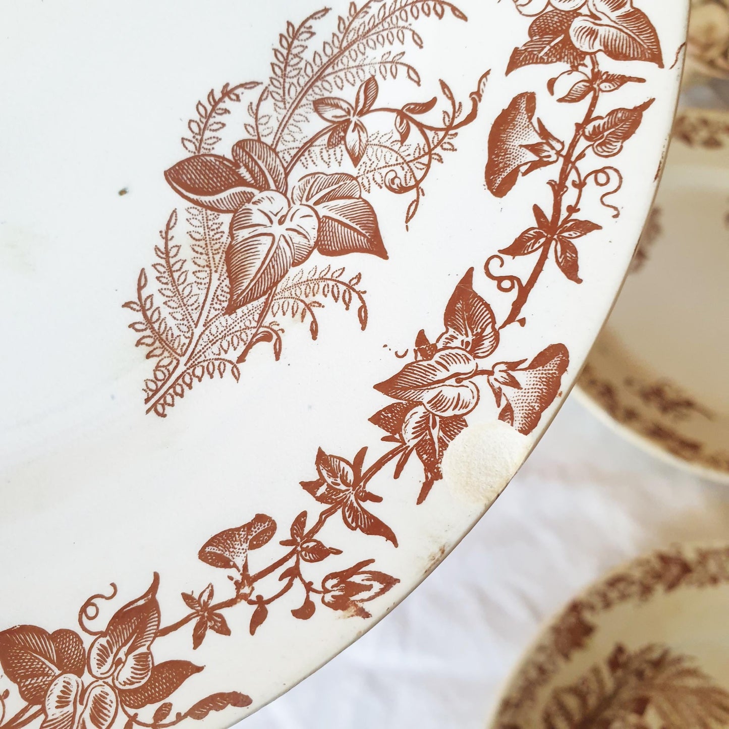Antique Shabby French Transferware Plates: Brown Floral 'Liseron' Pexonne Set
