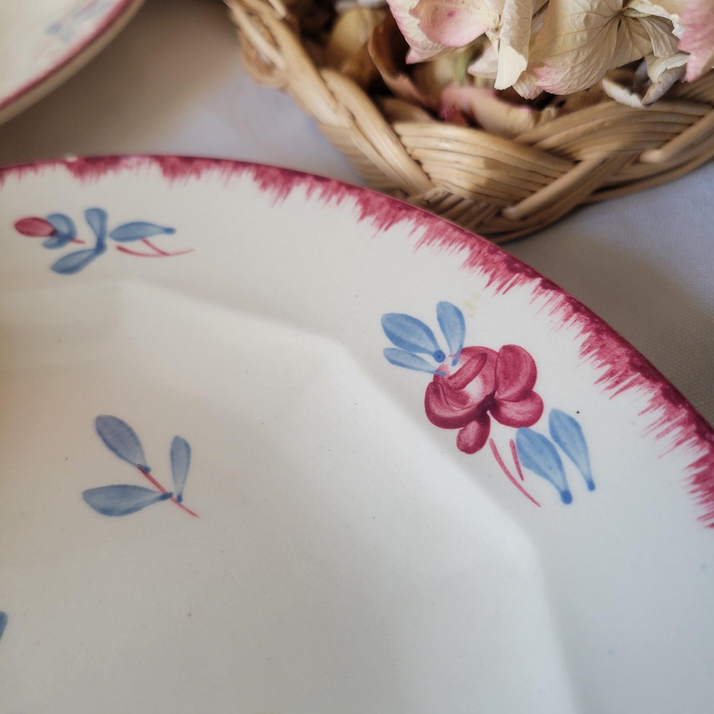 Vintage Sarreguemines Divided Asparagus Plates: Set of 6 Hand painted French Danube Pattern