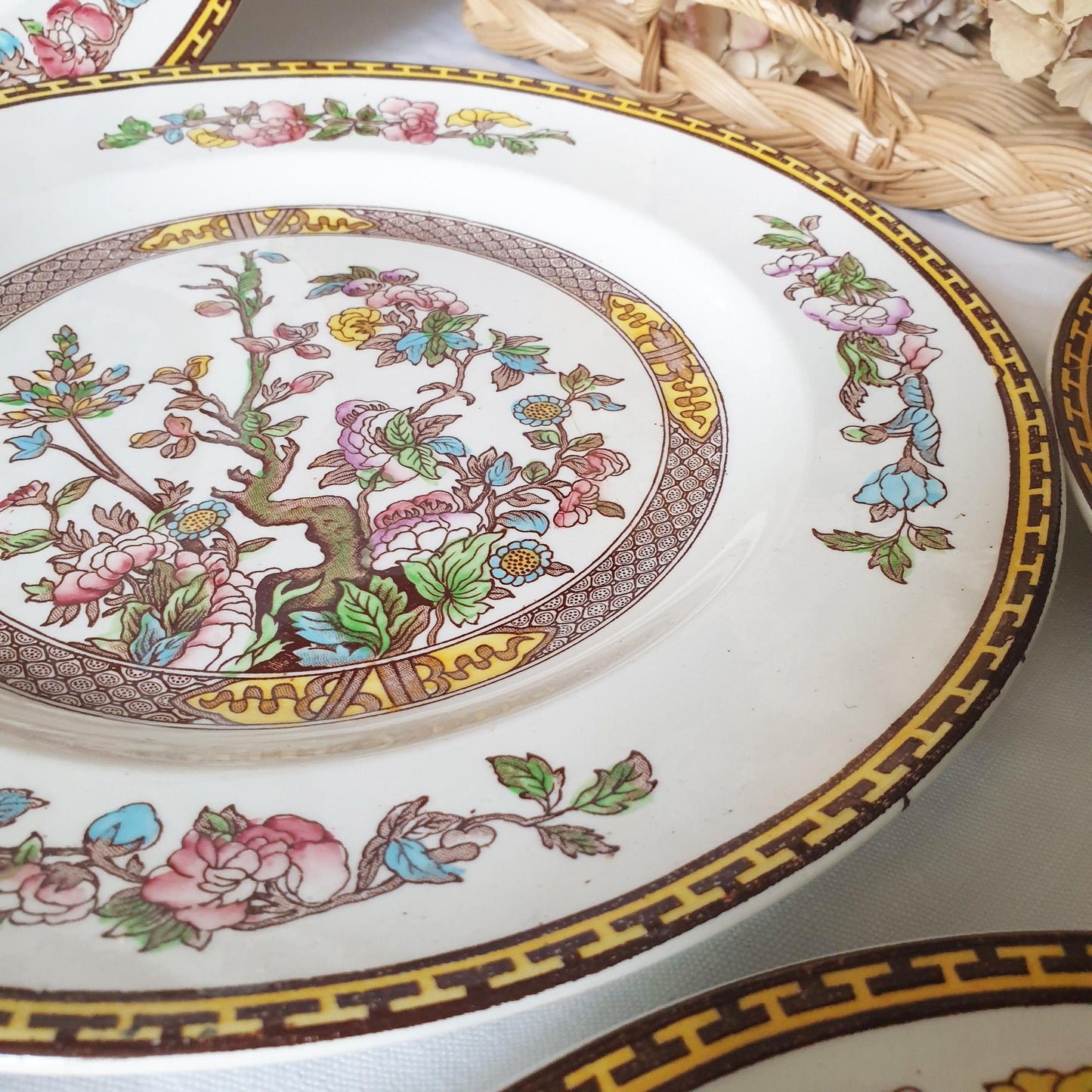 SET 14 Vintage Staffordshire plates, Indian Tree pattern by Washington c1950. Hand painted. Small set of plates for full service for 2.